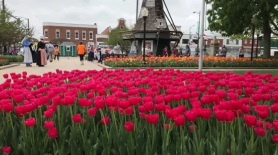 Pella, Iowa: A Blooming Celebration Of Dutch Traditions.